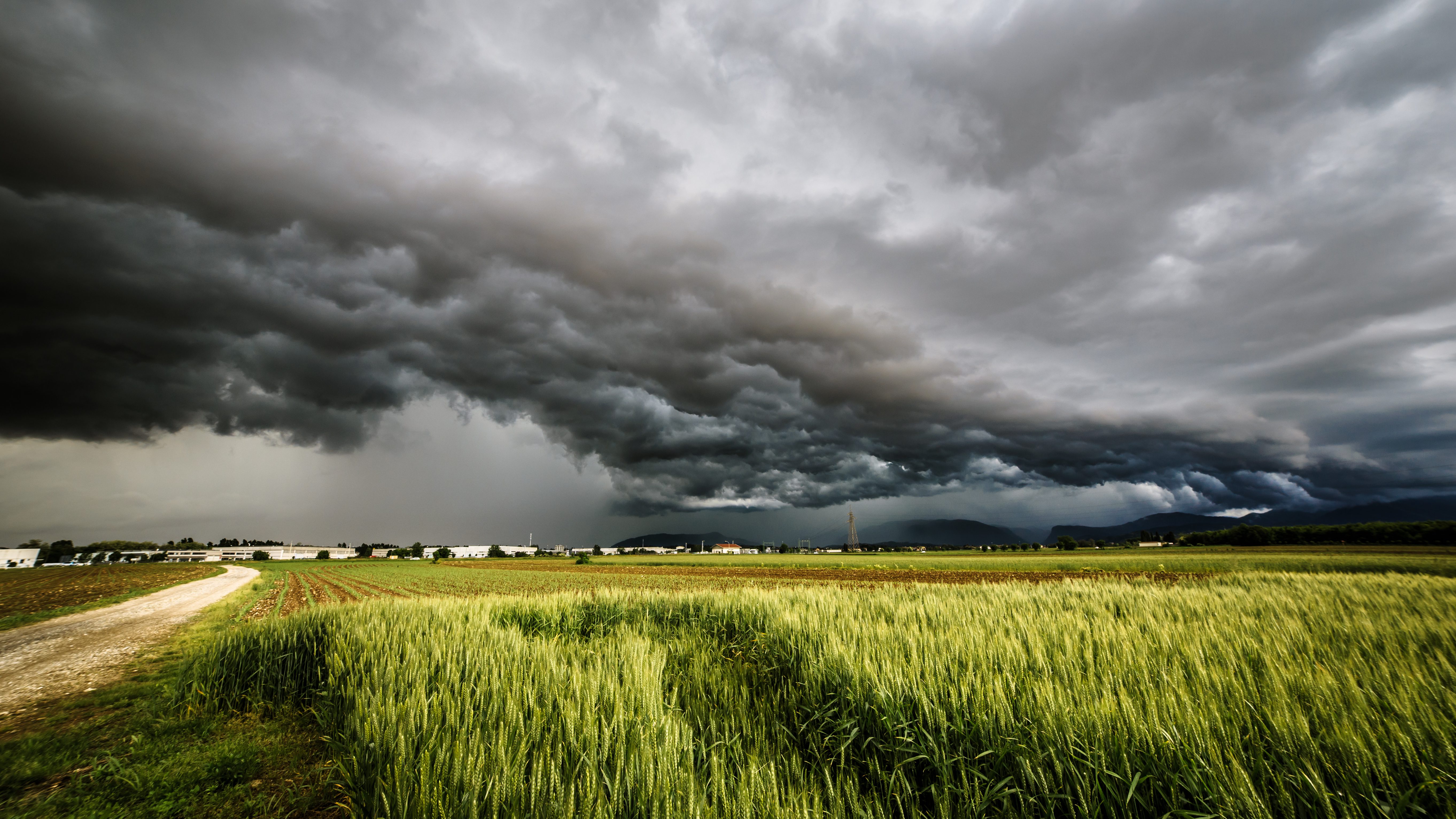 Safety Tips for Spring Storms Polk Electric